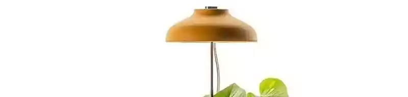 La lampe pour plante