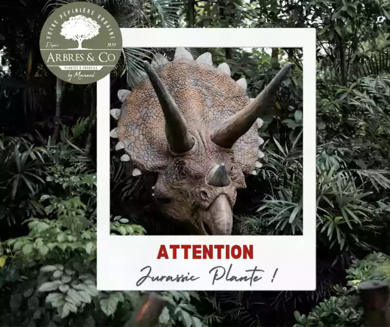 jurassic plantes 5