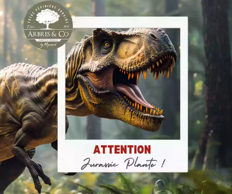 jurassic plantes 6