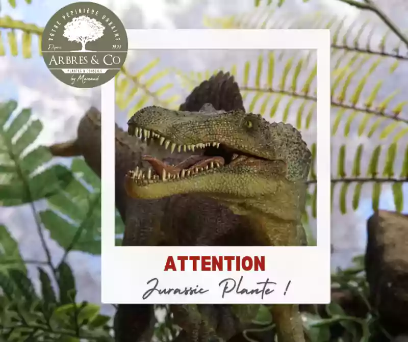 jurassic plantes 8