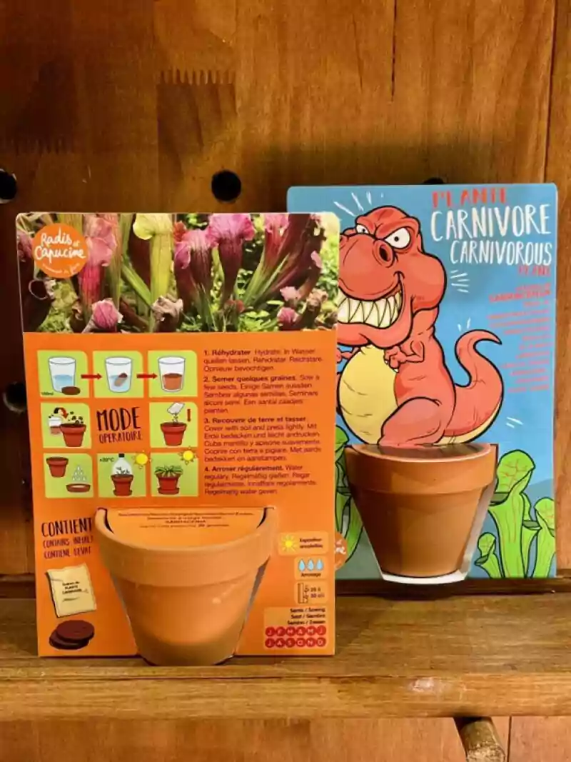 jurassic kit plante 5