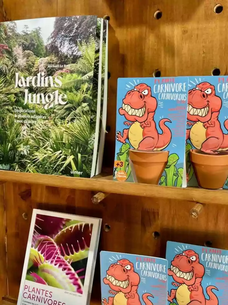 kit jurassic plante 2