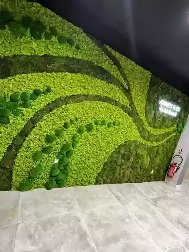 Décoration mur végétalisé